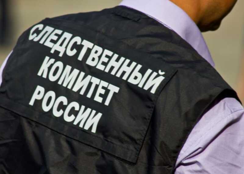 В Бердянске фанатка «битцевского маньяка» подозревается в убийстве ребенка