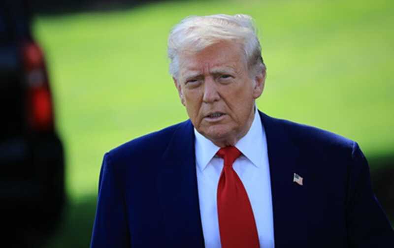 Трамп объявил о намерении организовать бой UFC на территории Белого дома