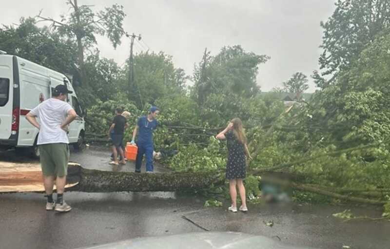 В Санкт-Петербурге ураган повалил дерево на женщину