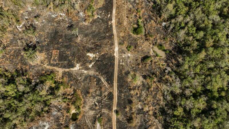 How Drug Traffickers Hide in the Chaco: A Runway in Paraguay’s Forests