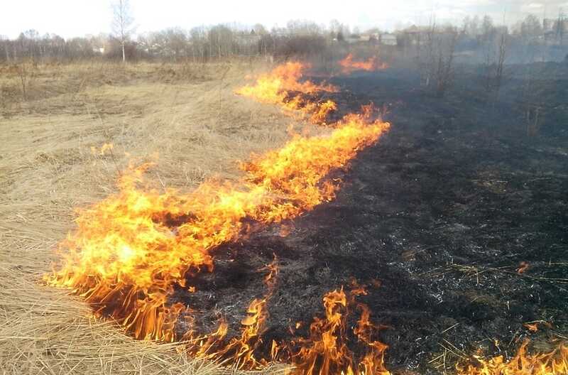 В Ставрополье неизвестные подожгли траву: огонь добрался до населенного пункта