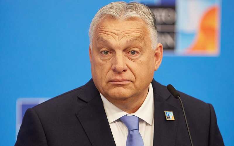 Трамп предложил Виктору Орбану рассмотреть вопрос переговоров Путина и Зеленского в Будапеште
