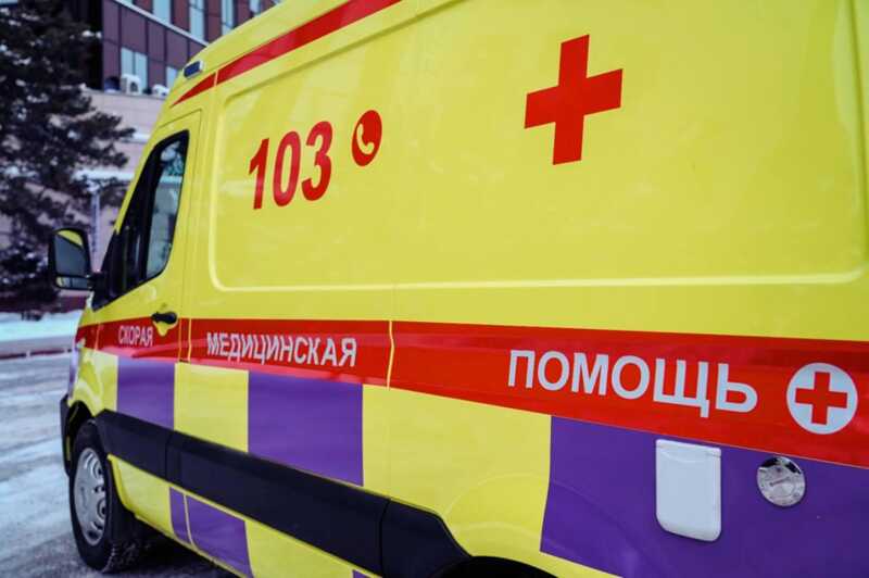 В Тольятти подросток оказался в больнице с пробитой головой после падения дерева