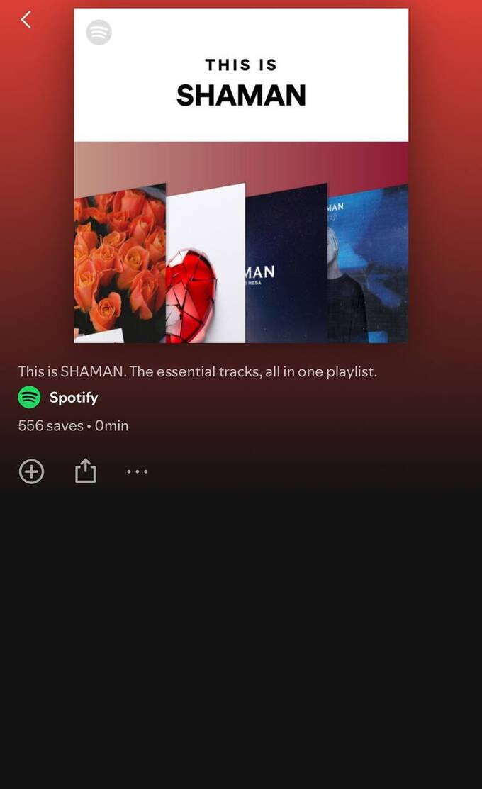 Нескольким российским артистам были взломаны аккаунты на Spotify