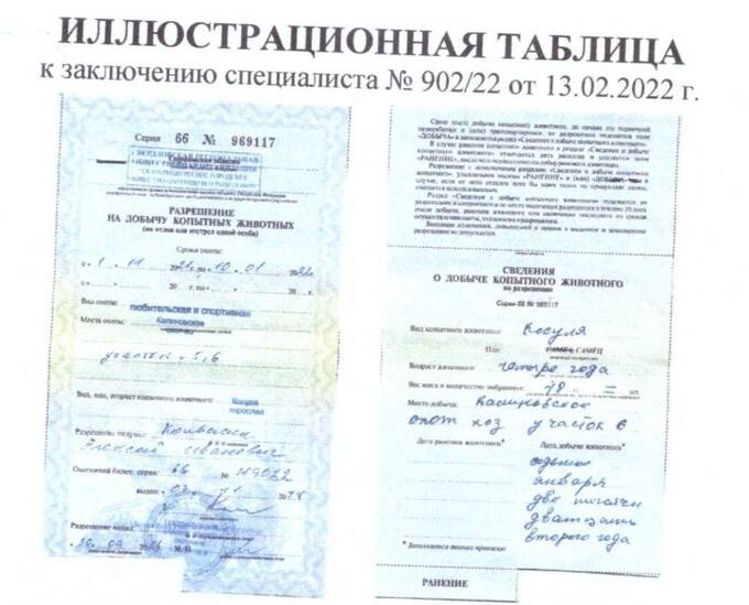 Как в Свердловской области бизнесмены обеспечивали чиновникам комфортные условия для браконьерства
