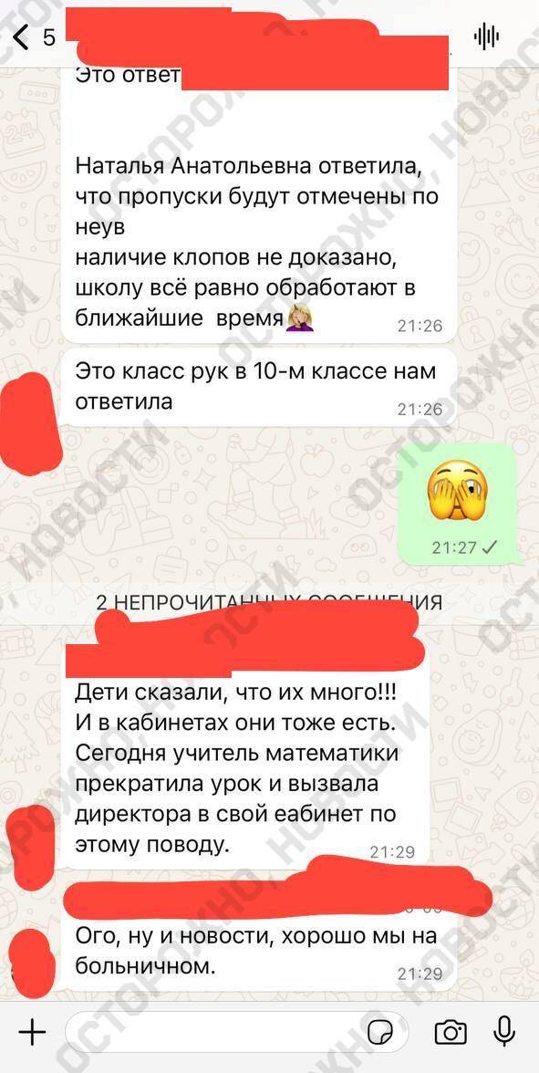 В гимназии Петербурга ученики жалуются на нашествие клопов dzdiqeqiqehiqutkmp