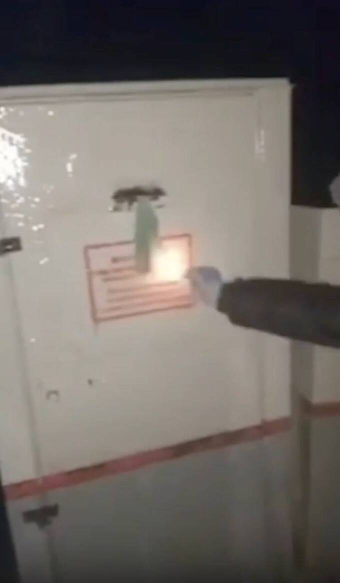 В Петербурге студентам показали видео с пытками в качестве предупреждения