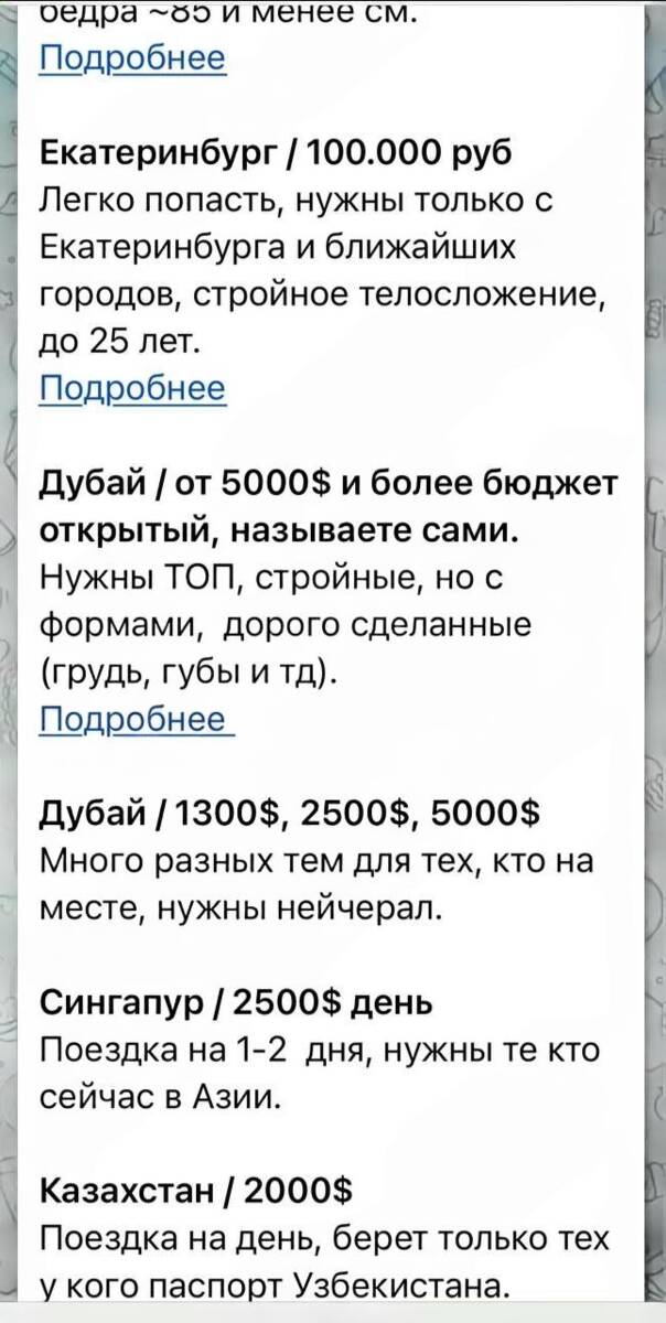 Какие требования предъявляют принцы Саудовской Аравии к геймершам-эскортницам