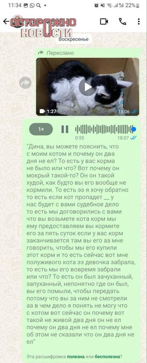 Жертвы передержки: в Чите возле дома ветеринара-студентки обнаружили мёртвых собак и кошек dzqiqhdiqqxiuhkmp