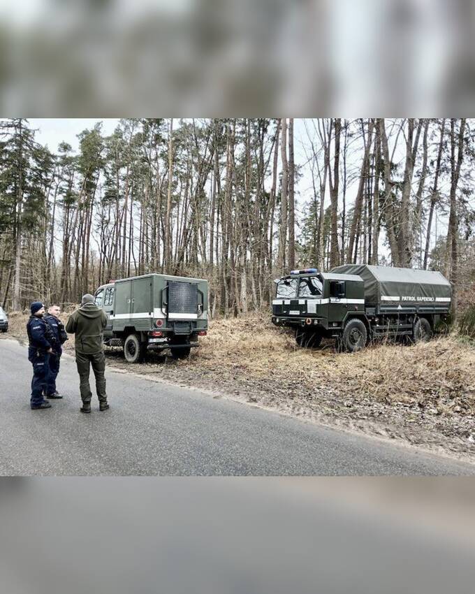 В Польше дикие кабаны выкопали десятки минометных снарядов heideeidrdidrtkmp