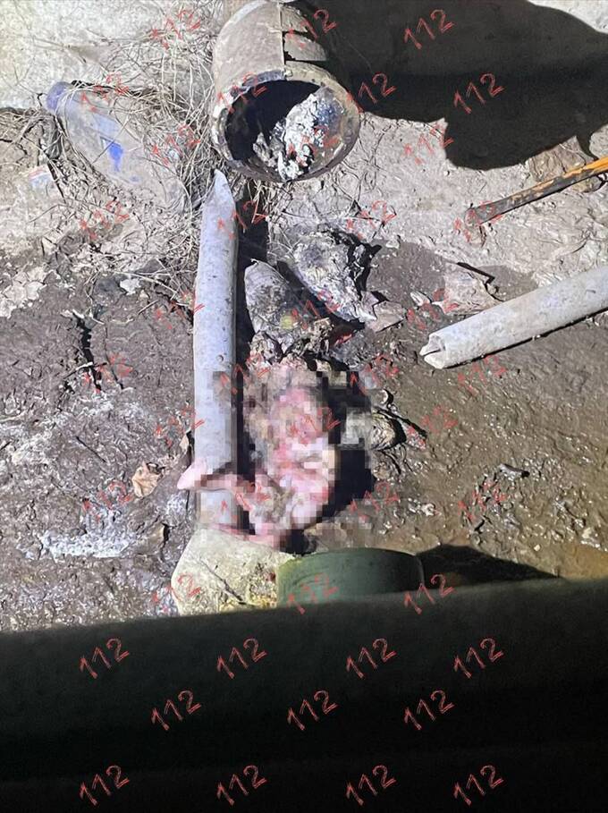 В Подмосковье при прочистке канализационной трубы нашли тело новорожденного ребенка qztiqhxiquhikrkmp