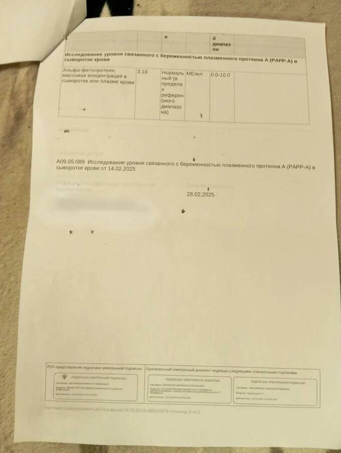 Сбой в «Госуслугах»: мужчина получил результаты анализа с диагнозом «беременность» quqidreiqruidqzkmp