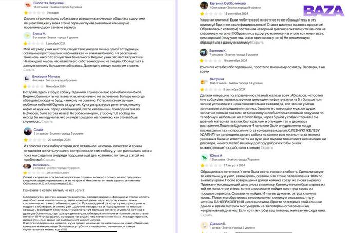 В Подмосковье ветеринарную клинику «Доктор Ай» обвиняют в халатности после смерти кошки