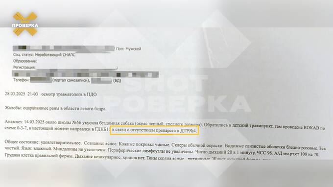 Укусила собака — а вакцины нет: жителю Уфы не удалось получить препарат от бешенства qqziqkqidziqqrkmp
