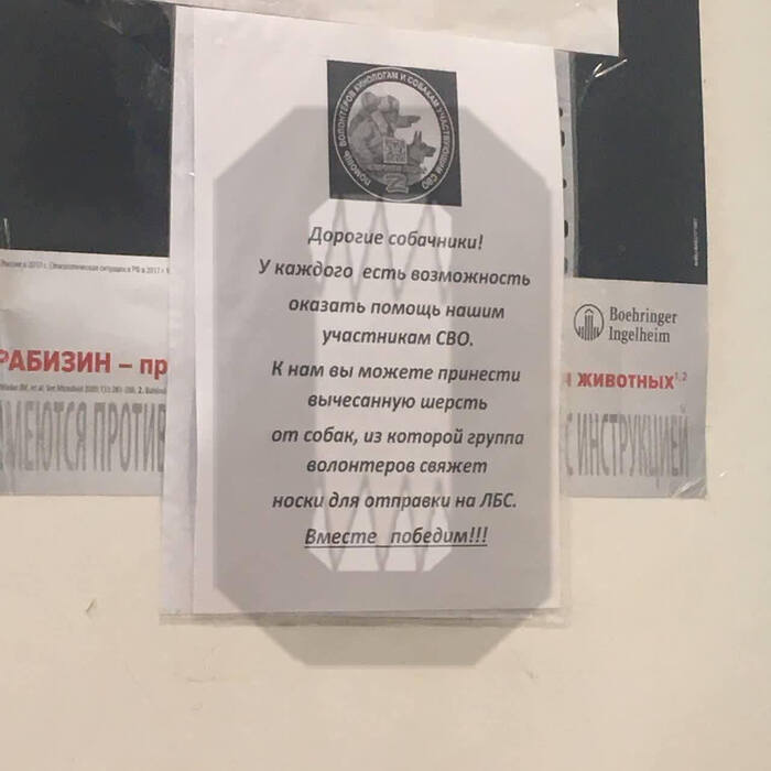 24/01/2023 quziehidqeiqdzglv