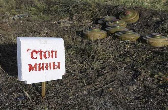 Мужчина, погибший недалеко от населённого пункта Запесочье в Брянской области, пытался проехать минное поле на велосипеде